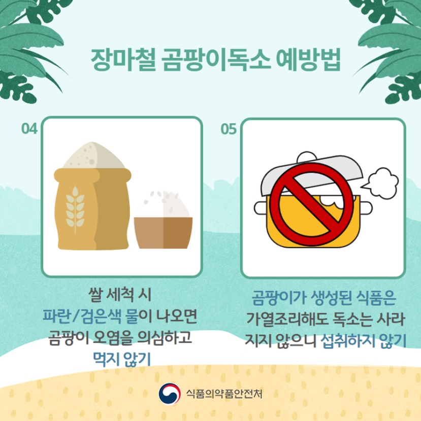 사진=식품의약품안전처 공식 블로그
