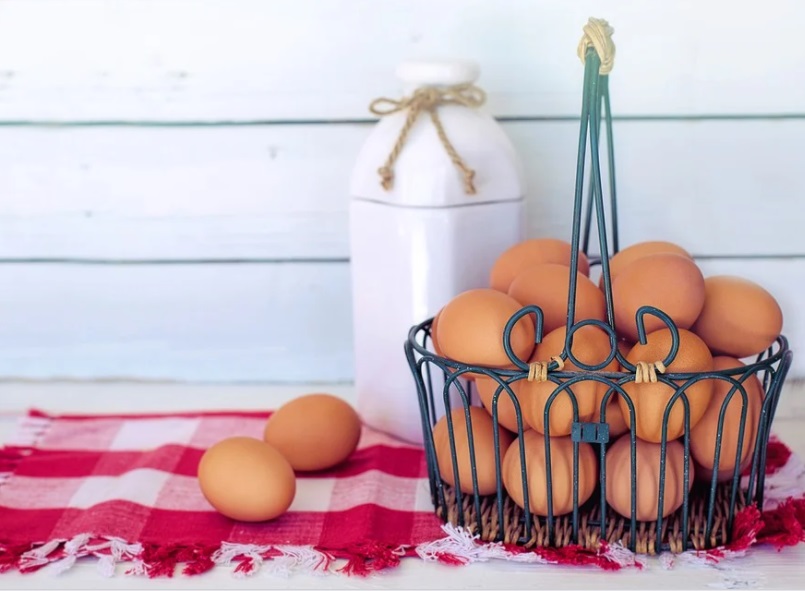 달걀, 계란(출처=PIXABAY)