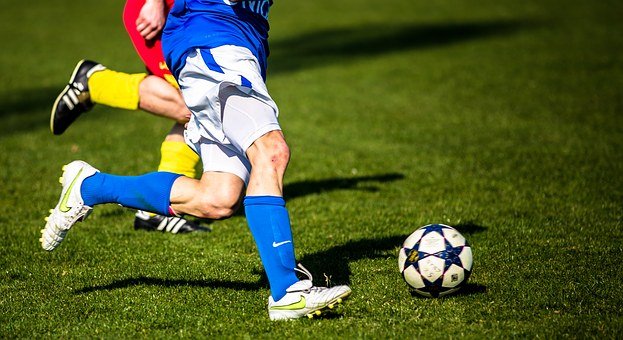 축구, 프로, 스포츠(출처=pixabay)