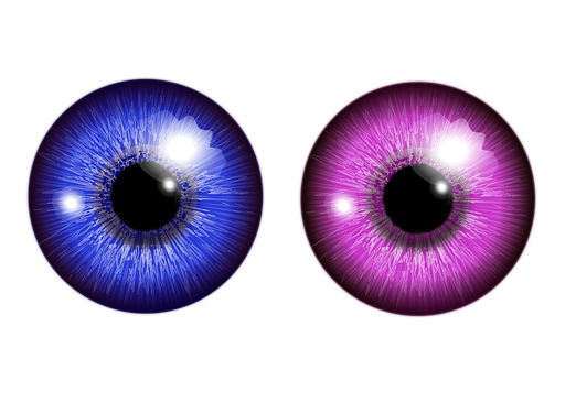 눈, 수정체, 백내장 수술, 안과(출처=pixabay)