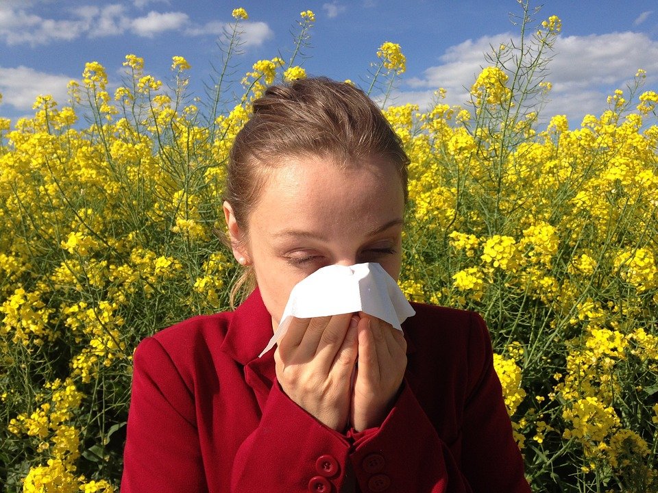 알레르기, 비염, 코(출처=pixabay)