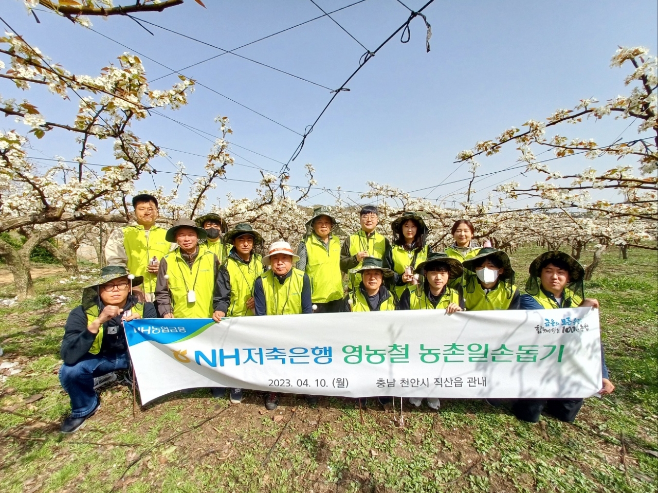 출처 = NH저축은행