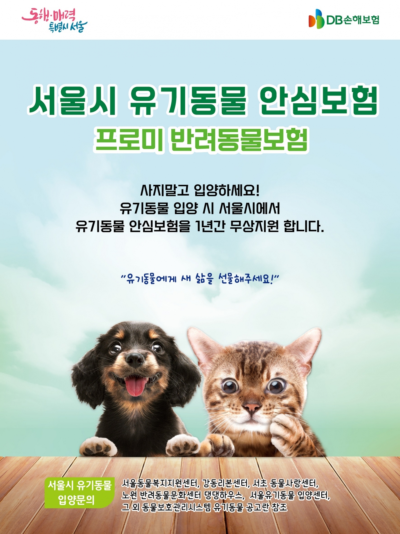 출처=DB손해보험