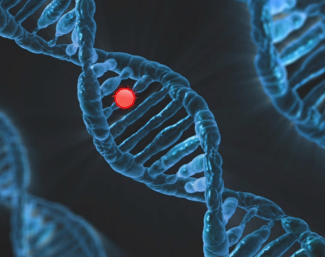 DNA, 유전자 (출처=PIXABAY)