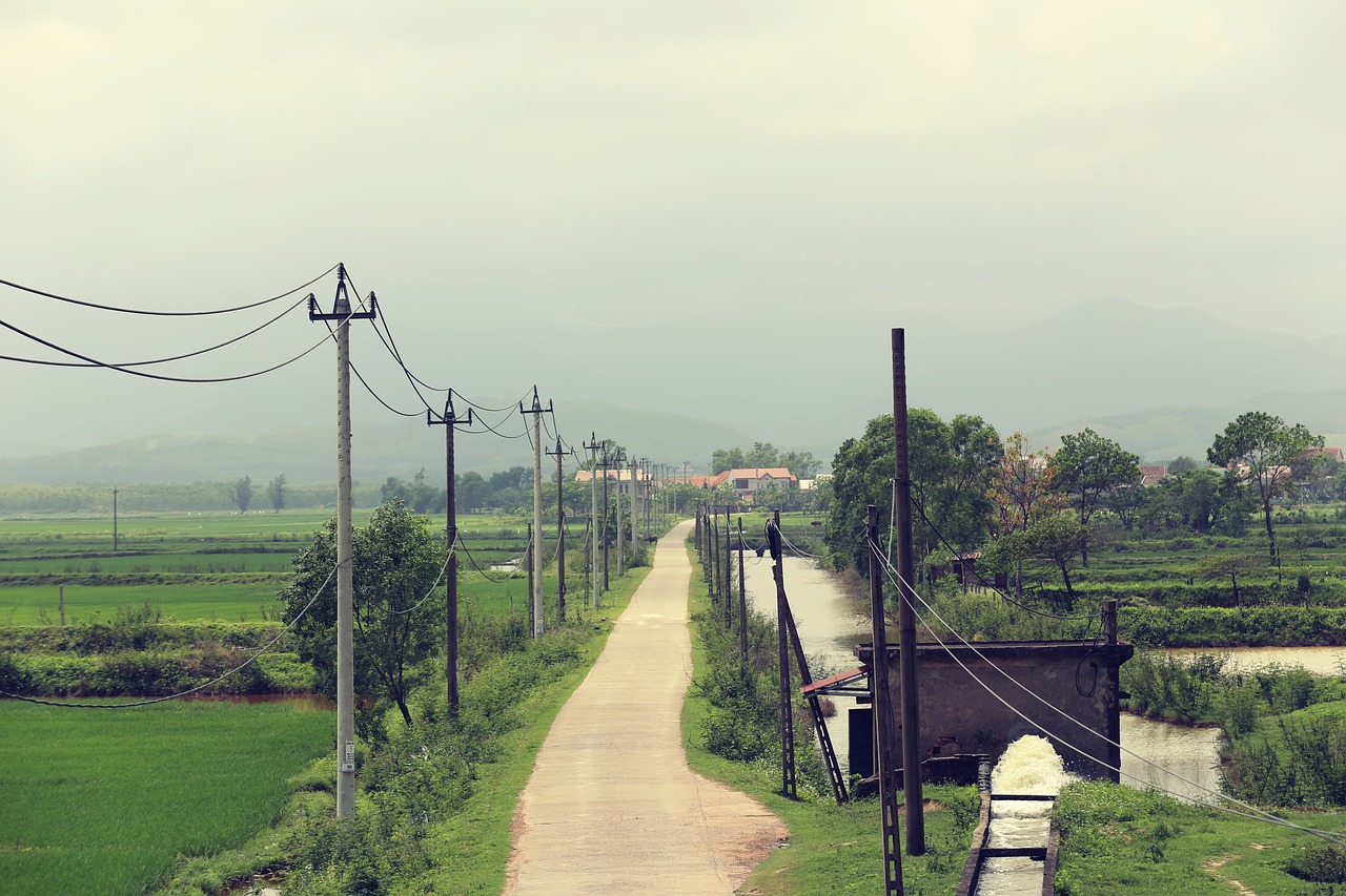 전신주, 도로, 농장 (출처=PIXABAY)