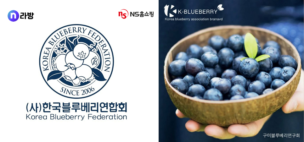 출처=NS홈쇼핑