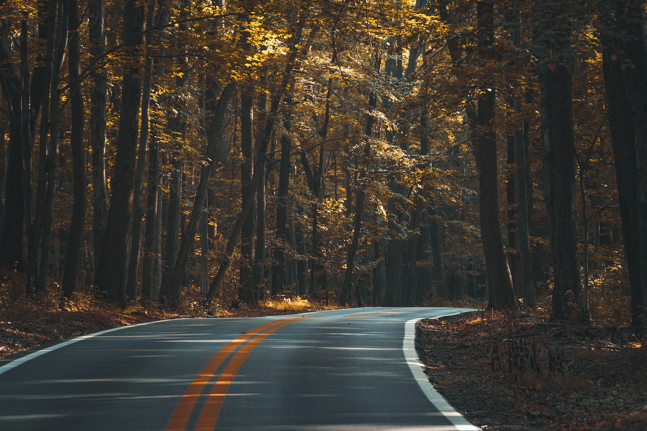 아스팔트, 도로 (출처=PIXABAY)