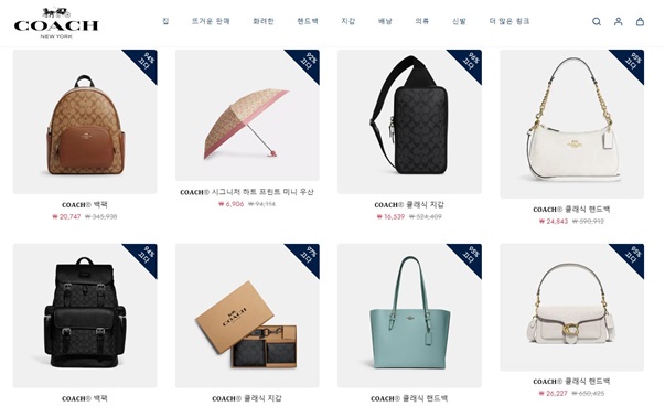 코치(COACH) 사칭 의심 사이트 화면(출처=한국소비자원)
