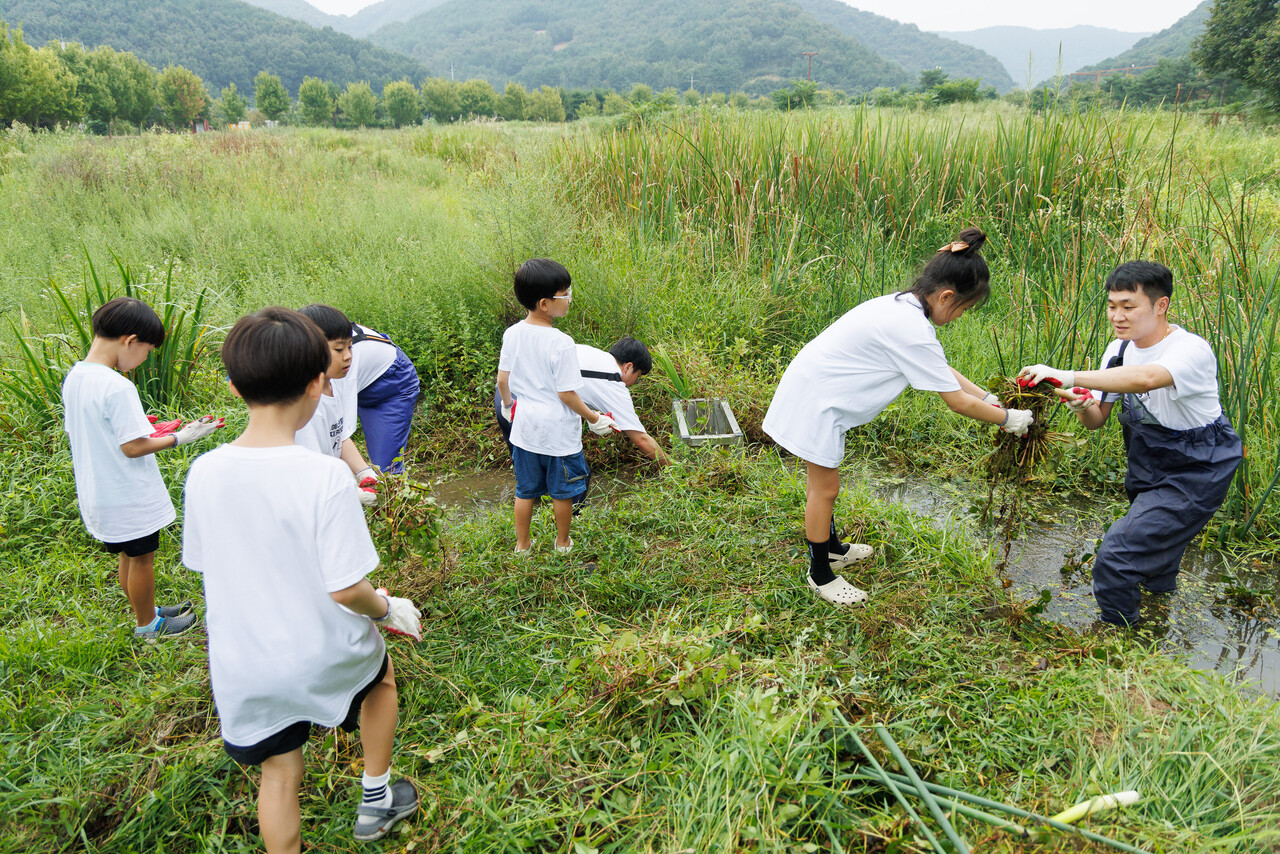 출처=보령
