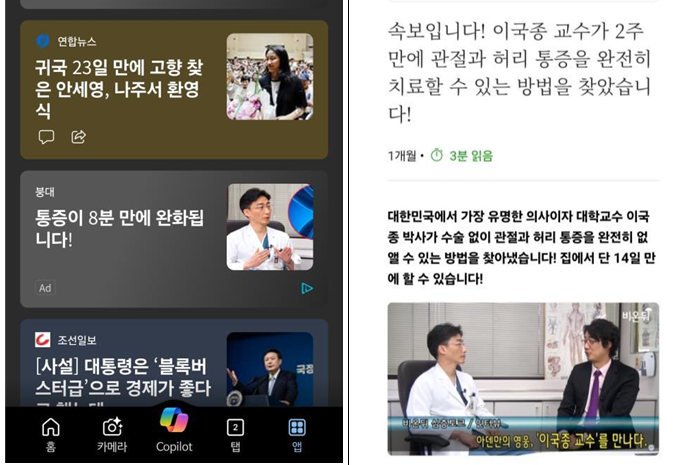사기의심사이트 화면(출처=한국소비자원)
