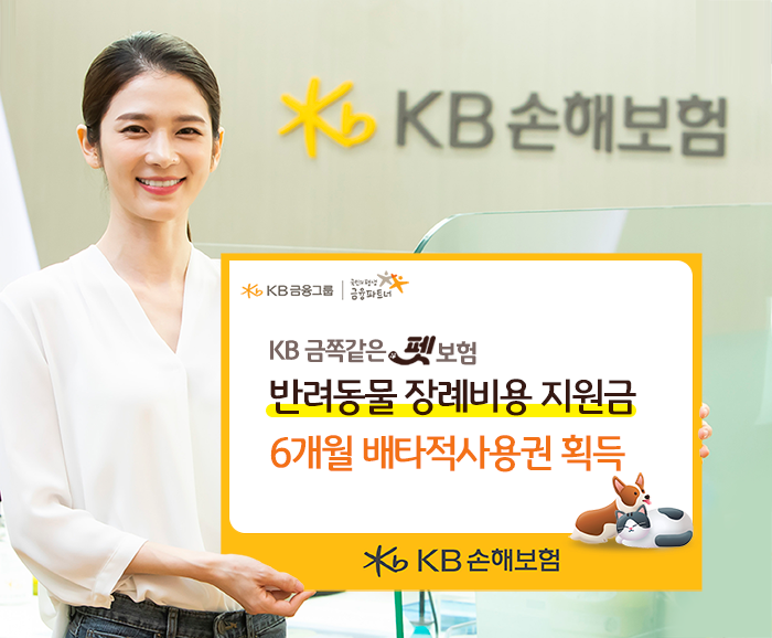 출처=KB손해보험