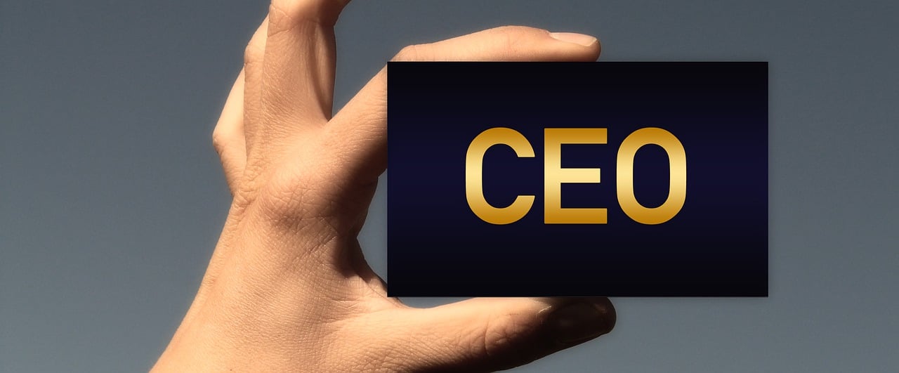 CEO, 최고 경영자, 책임자 (출처=PIXABAY)