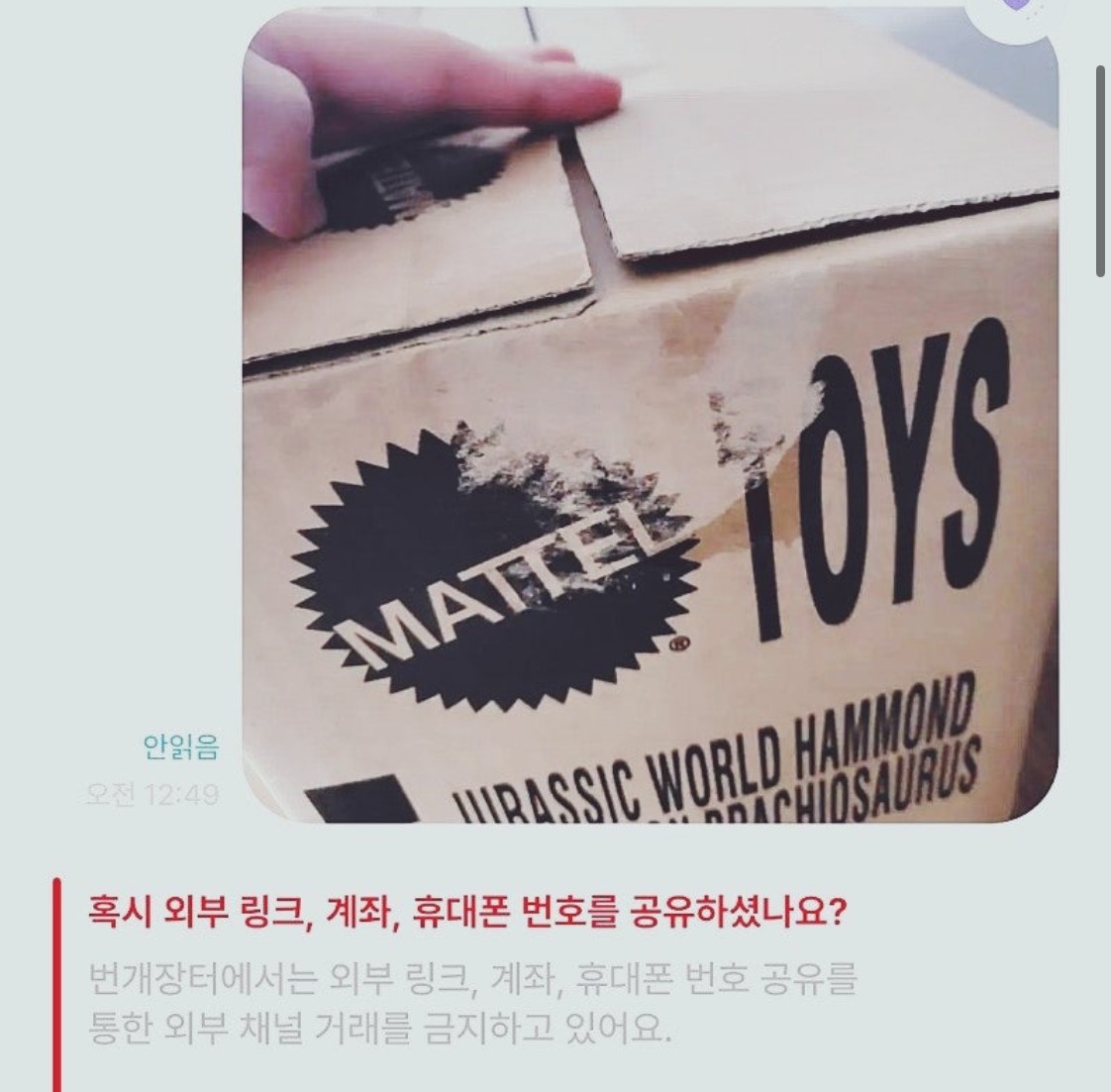 A씨가 번개장터 채팅창에 상품 사진을 올린 후 경고 메시지를 받았다. (출처=온라인 커뮤니티)