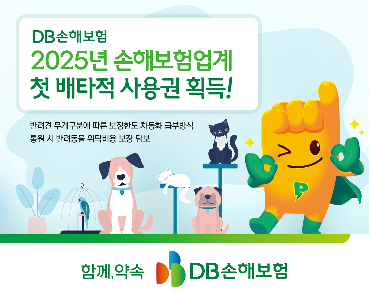 출처=DB손해보험