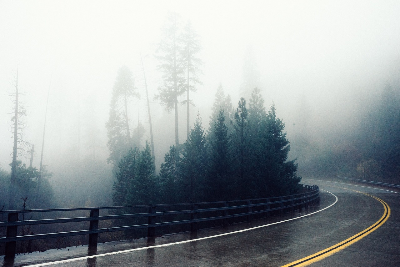 도로, 곡선, 가드레일, 빗길 (출처=PIXABAY)