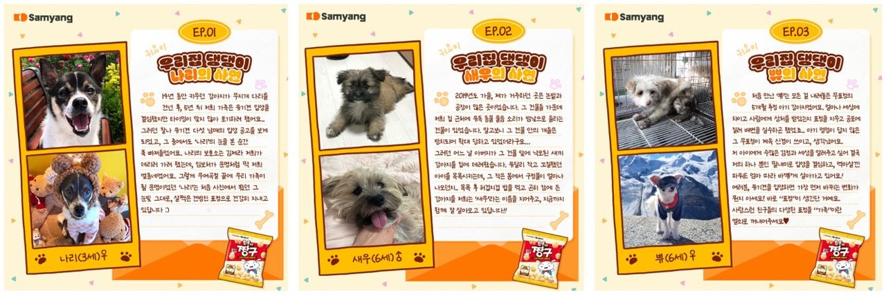 ‘우리집 댕댕이 자랑대회’ 이벤트에 선정된 사연, 삼양식품 공식 인스타그램 (출처=삼양식품)