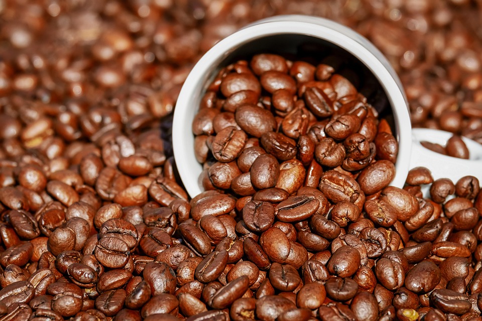 커피, 커피콩(출처=pixabay)
