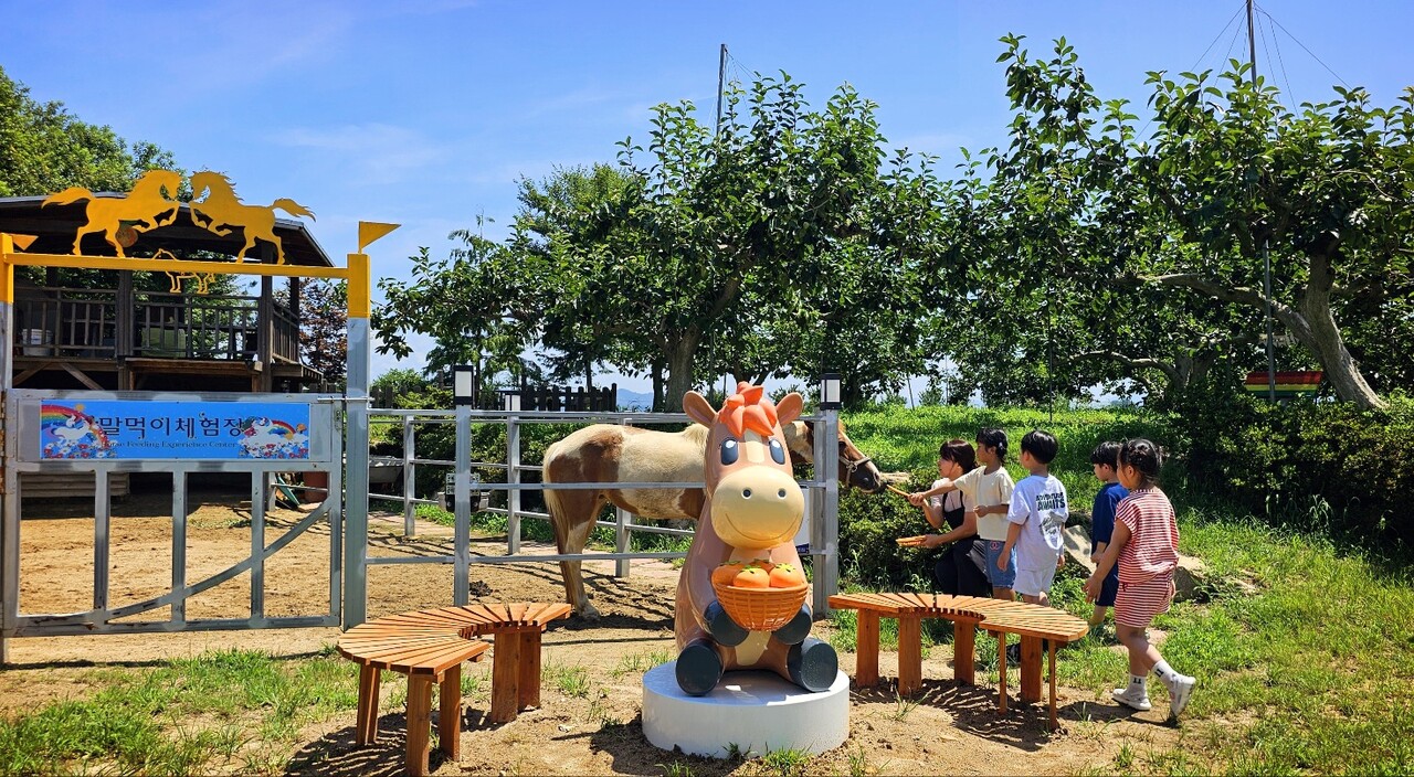 출처=한국마사회