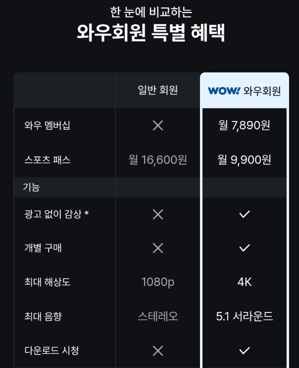 스포츠패스 혜택