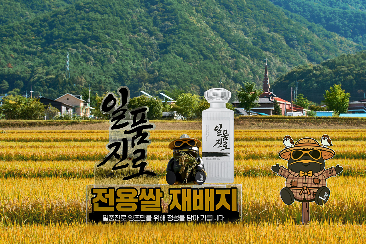강원도 홍천군 일품진로쌀 재배지 (출처=하이트진로)