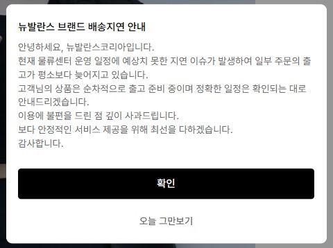뉴발란스코리아는 일부 주문의 출고가 평소보다 늦어질 수 있다며 배송 지연 안내를 하고 있다. (출처=무신사 홈페이지)