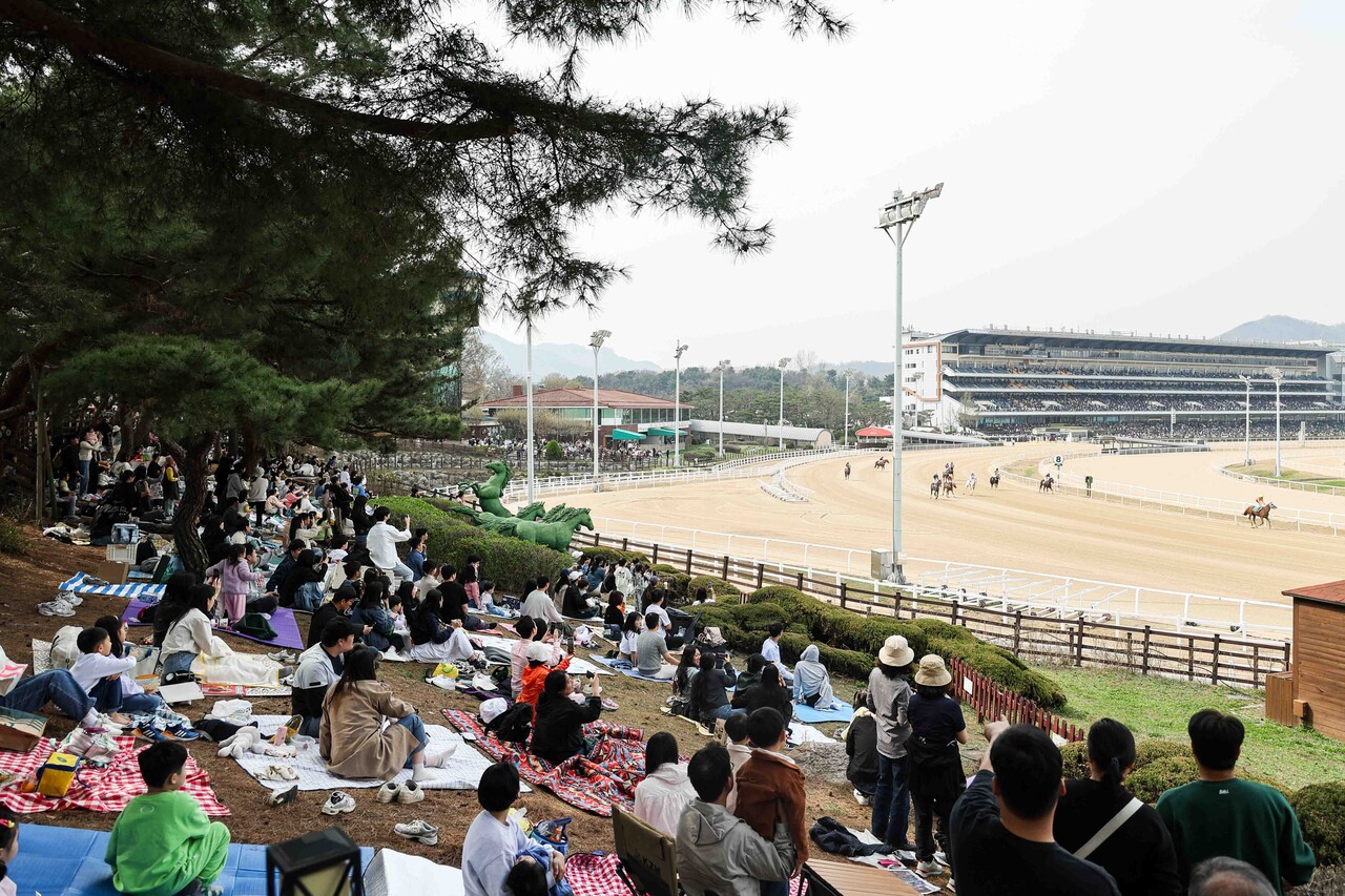 시민들이 렛츠런파크 서울에서 경마를 구경하고 있다. (출처=한국마사회)