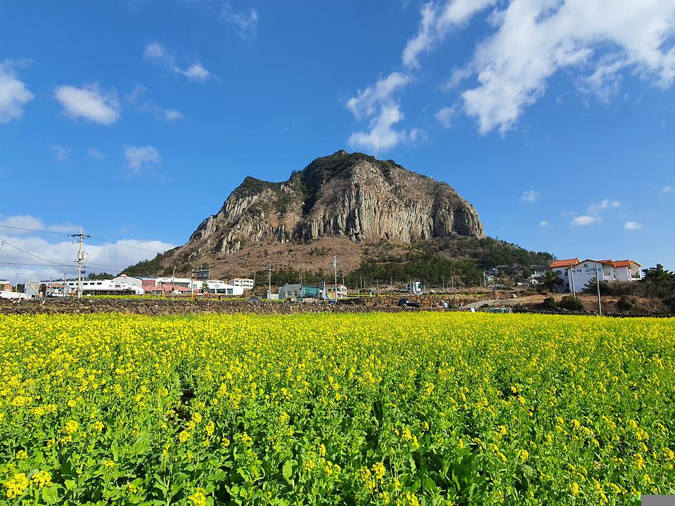 제주, 여행, 국내여행(출처=PIXABAY)